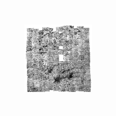 Export Image