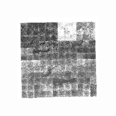 Export Image