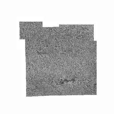 Export Image