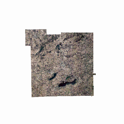 Export Image